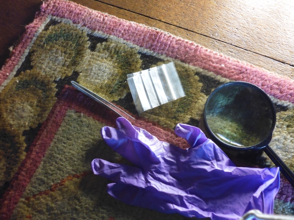 Pest checking equipment - gloves, tweezers, magnifying glass and plastic bags to stick pests in, at Osterley Park (image: Laura Brooks)